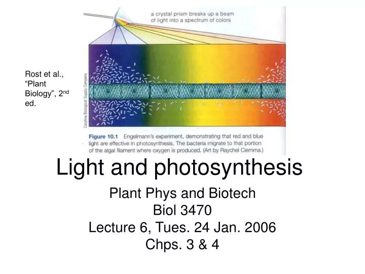 light and photosynthesis