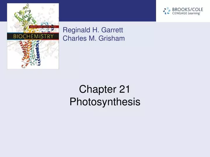 chapter 21 photosynthesis