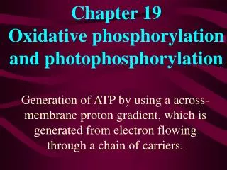 Chapter 19 Oxidative phosphorylation and photophosphorylation
