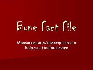Bone Fact File