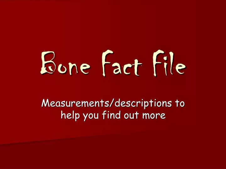 bone fact file