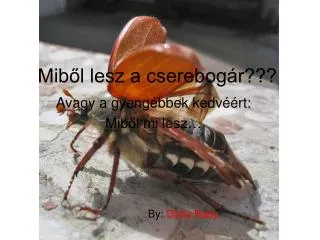 mib l lesz a cserebog r