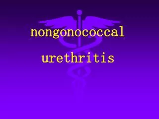 nongonococcal urethritis