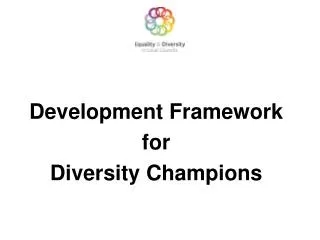 Development Framework for Diversity Champions