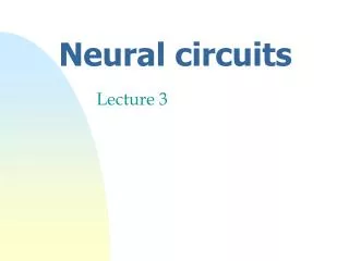 Neural circuits