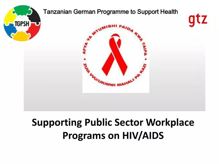 supporting public sector workplace programs on hiv aids