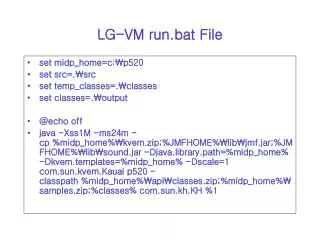 LG-VM run.bat File