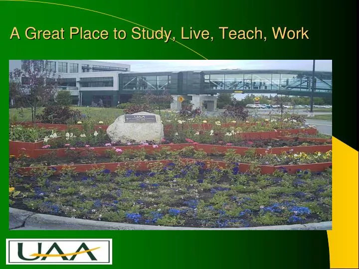 a great place to study live teach work