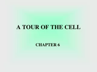 A TOUR OF THE CELL