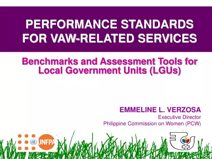 performance standards for vaw related services