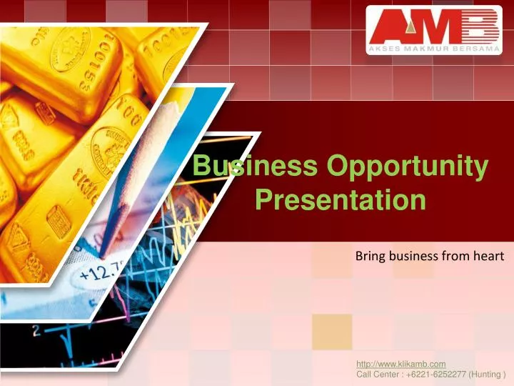 business opportunity presentation