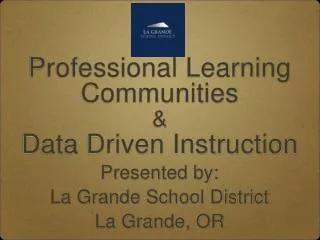 Professional Learning Communities &amp; Data Driven Instruction