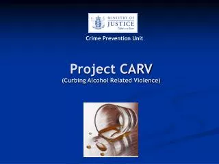 Project CARV (Curbing Alcohol Related Violence)
