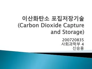 이산화탄소 포집저장기술 (Carbon Dioxide Capture and Storage)