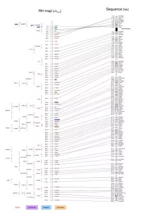 RH map ( cR 6000 )