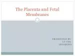The Placenta and Fetal Membranes - slide 1