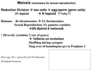 Meiosis (necessary for sexual reproduction)