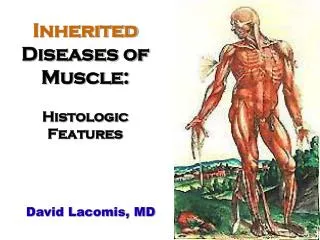 Inherited Diseases of Muscle: Histologic Features