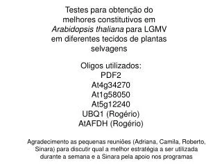 Oligos utilizados: PDF2 At4g34270 At1g58050 At5g12240 UBQ1 (Rogério) AtAFDH (Rogério)