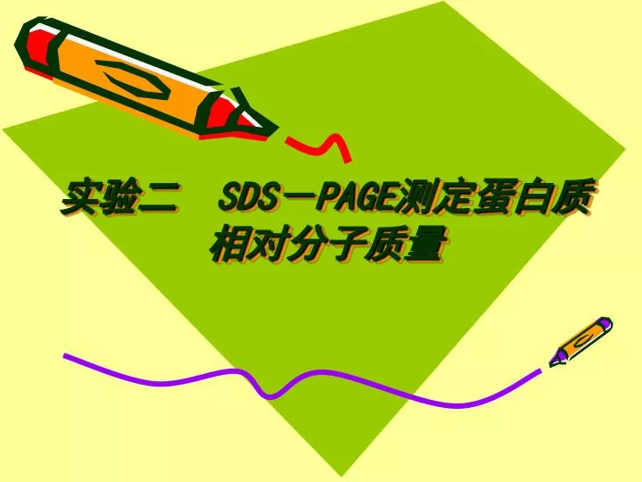 sds page