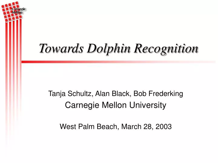 towards dolphin recognition