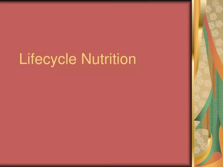 lifecycle nutrition