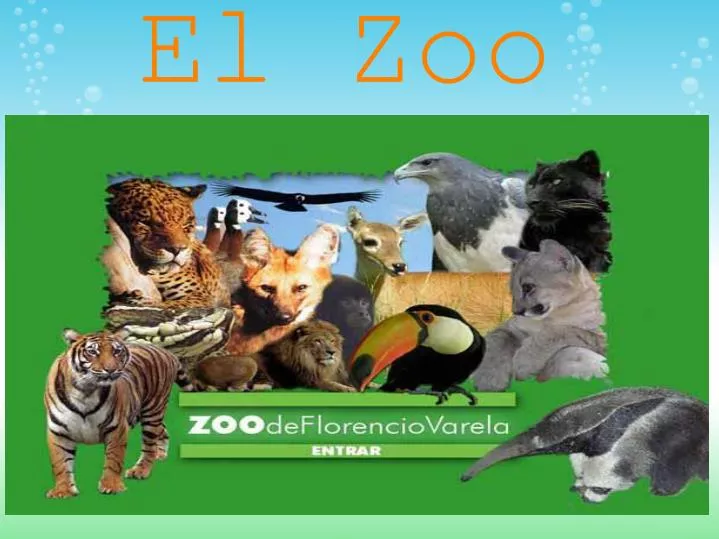 el zoo