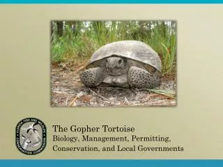 The Gopher Tortoise Biology, Management, Permitting, Conservation, and Local Governments