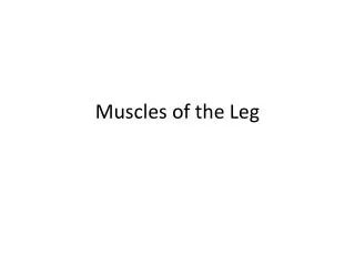 Muscles of the Leg