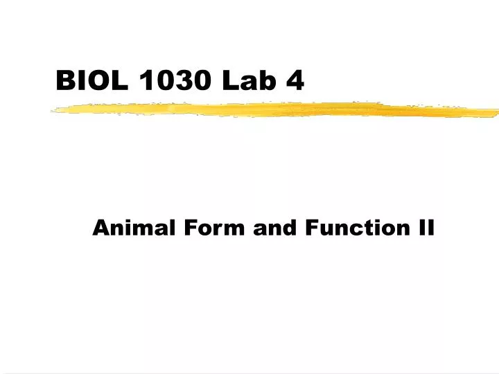biol 1030 lab 4