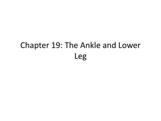 chapter 19 the ankle and lower leg