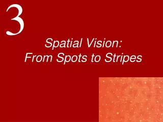 Spatial Vision: From Spots to Stripes