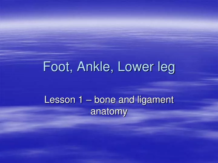 foot ankle lower leg