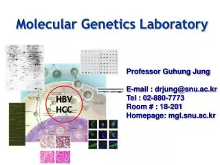 Molecular Genetics Laboratory