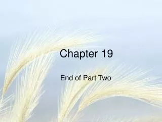 Chapter 19