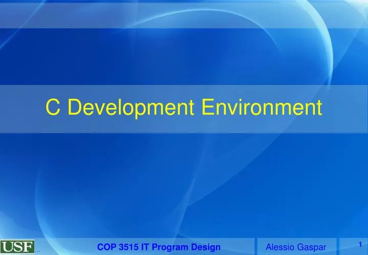c development environment