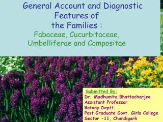 General Account and Diagnostic Features of the Families : Fabaceae, Cucurbitaceae,