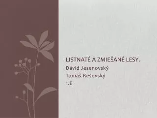 listnat a zmie an lesy