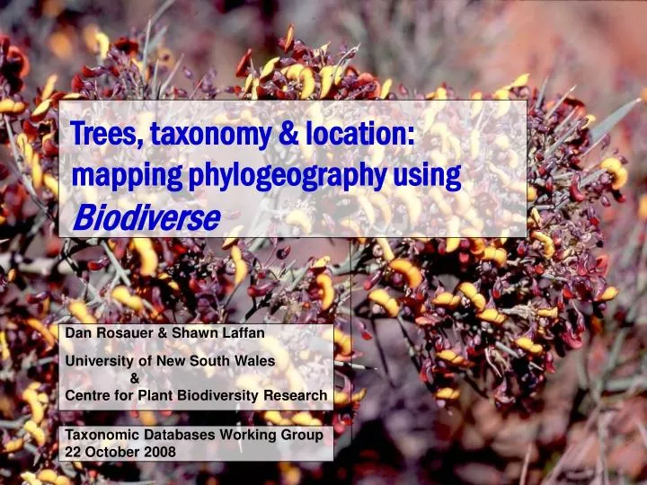 trees taxonomy location mapping phylogeography using biodiverse