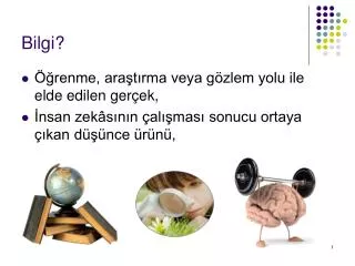 bilgi