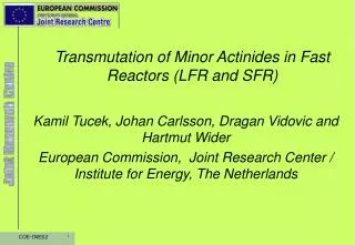 Transmutation of Minor Actinides in Fast Reactors (LFR and SFR)