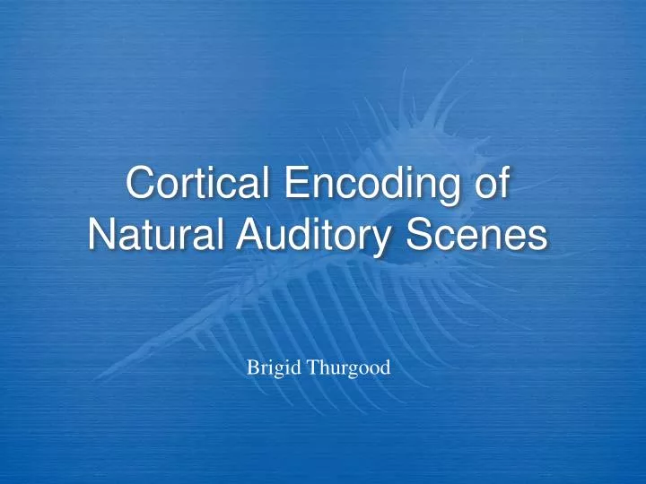 cortical encoding of natural auditory scenes
