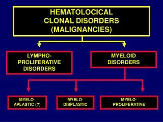 HEMATOLOCICAL CLONAL DISORDERS (MALIGNANCIES)