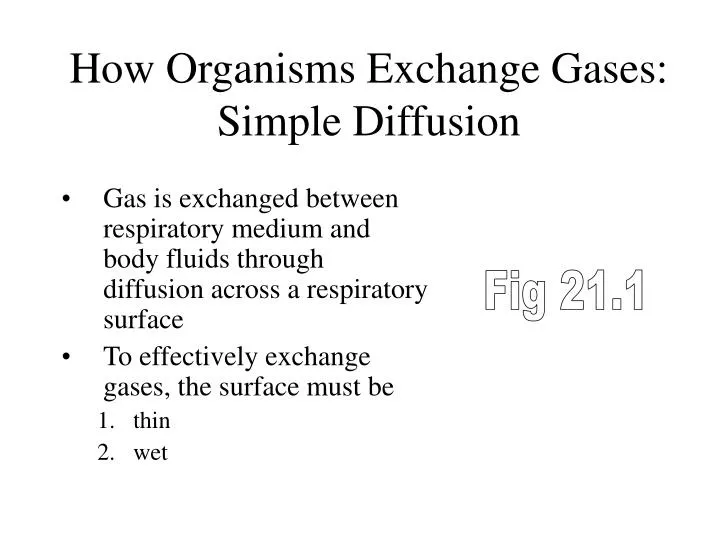 how organisms exchange gases simple diffusion