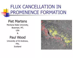 FLUX CANCELLATION IN PROMINENCE FORMATION