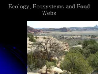 Ecology, Ecosystems and Food Webs