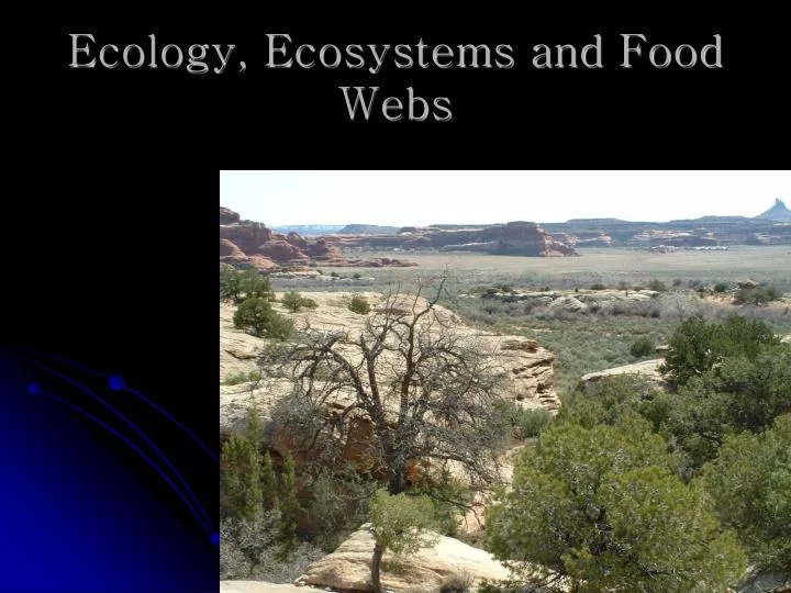 ecology ecosystems and food webs