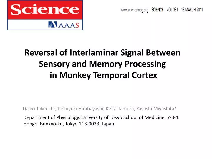 reversal of interlaminar signal between sensory and memory processing in monkey temporal cortex