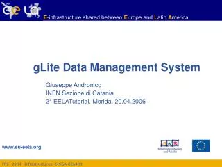 gLite Data Management System