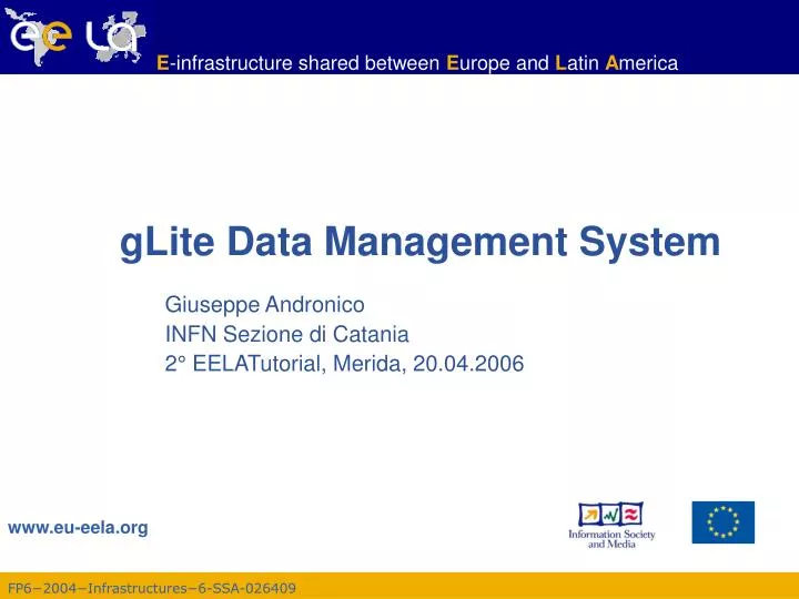 glite data management system